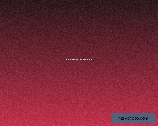 银幕上的光影盛宴，不止是电影，更是心跳的回响